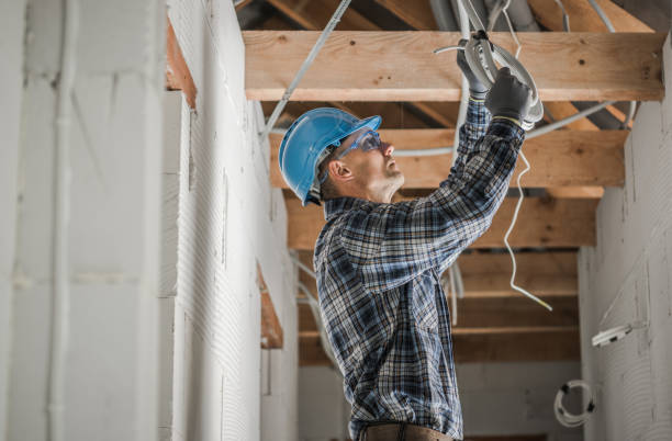 Best Electric Panel Repair  in Eatonville, FL